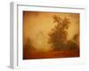 Red Planet-Irene Suchocki-Framed Photographic Print