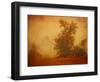 Red Planet-Irene Suchocki-Framed Photographic Print