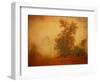 Red Planet-Irene Suchocki-Framed Photographic Print