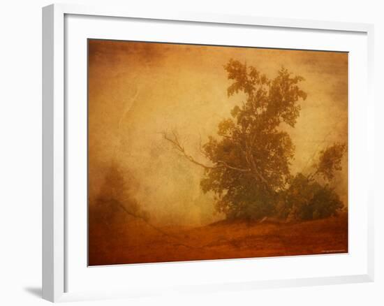 Red Planet-Irene Suchocki-Framed Photographic Print