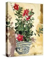 Red Plant in Pot-Richard Akerman-Stretched Canvas