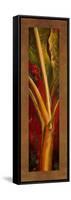 Red Plantain-Patricia Pinto-Framed Stretched Canvas