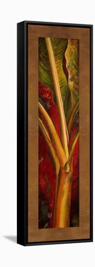 Red Plantain-Patricia Pinto-Framed Stretched Canvas