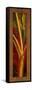 Red Plantain-Patricia Pinto-Framed Stretched Canvas