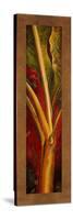 Red Plantain-Patricia Pinto-Stretched Canvas