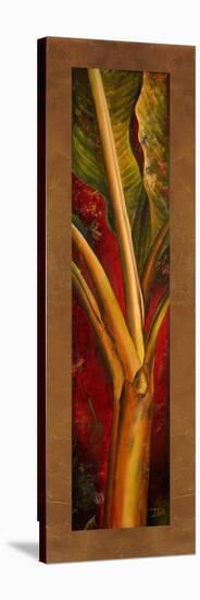 Red Plantain-Patricia Pinto-Stretched Canvas