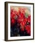 Red Poinsettias-Karen Armitage-Framed Giclee Print