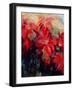 Red Poinsettias-Karen Armitage-Framed Giclee Print