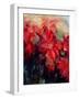 Red Poinsettias-Karen Armitage-Framed Giclee Print