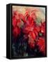 Red Poinsettias-Karen Armitage-Framed Stretched Canvas