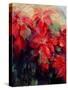 Red Poinsettias-Karen Armitage-Stretched Canvas