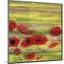 Red Poppies 1-Irena Orlov-Mounted Giclee Print