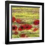 Red Poppies 1-Irena Orlov-Framed Giclee Print