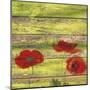 Red Poppies 2-Irena Orlov-Mounted Giclee Print