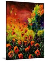 Red Poppies 451130-Pol Ledent-Stretched Canvas