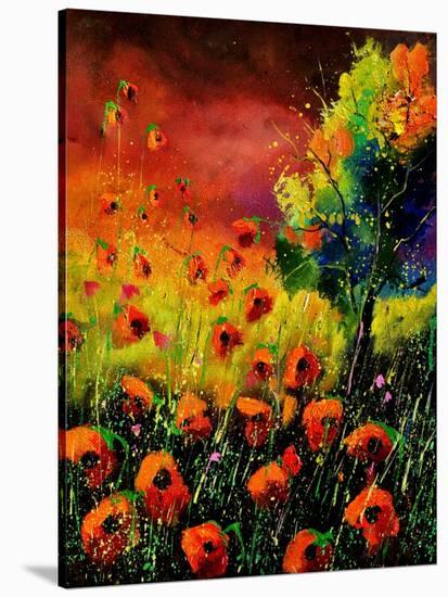 Red Poppies 451130-Pol Ledent-Stretched Canvas