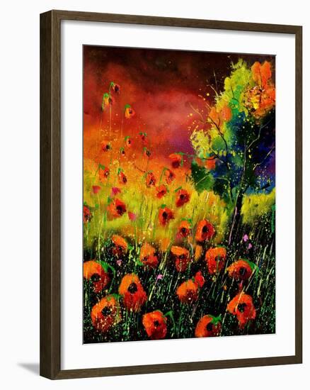 Red Poppies 451130-Pol Ledent-Framed Art Print