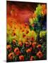 Red Poppies 451130-Pol Ledent-Mounted Art Print