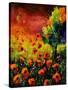 Red Poppies 451130-Pol Ledent-Stretched Canvas