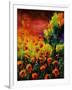 Red Poppies 451130-Pol Ledent-Framed Art Print