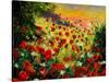 Red Poppies 5607-Pol Ledent-Stretched Canvas