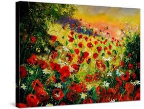 Red Poppies 5607-Pol Ledent-Stretched Canvas