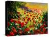 Red Poppies 5607-Pol Ledent-Stretched Canvas