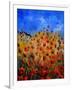 Red Poppies 562111-Pol Ledent-Framed Art Print