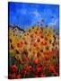 Red Poppies 562111-Pol Ledent-Stretched Canvas