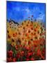 Red Poppies 562111-Pol Ledent-Mounted Art Print