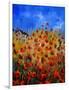 Red Poppies 562111-Pol Ledent-Framed Art Print