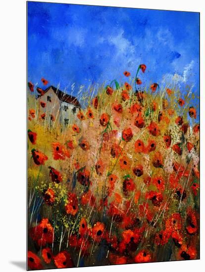 Red Poppies 562111-Pol Ledent-Mounted Art Print