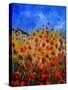 Red Poppies 562111-Pol Ledent-Stretched Canvas