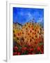 Red Poppies 562111-Pol Ledent-Framed Art Print
