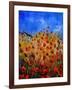 Red Poppies 562111-Pol Ledent-Framed Art Print