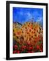 Red Poppies 562111-Pol Ledent-Framed Art Print