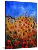 Red Poppies 562111-Pol Ledent-Stretched Canvas