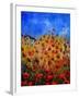 Red Poppies 562111-Pol Ledent-Framed Art Print