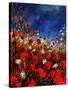 Red Poppies Against A Stormy Sky-Pol Ledent-Stretched Canvas