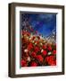 Red Poppies Against A Stormy Sky-Pol Ledent-Framed Art Print