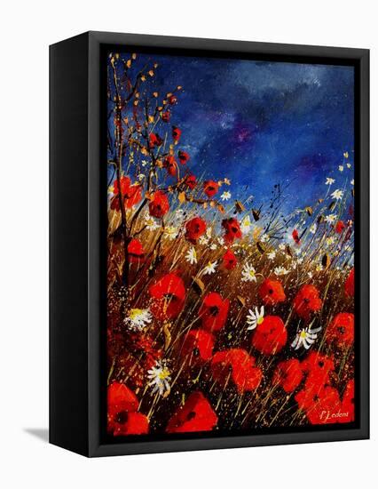 Red Poppies Against A Stormy Sky-Pol Ledent-Framed Stretched Canvas