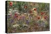 Red Poppies and Wildflowers-Paul Souders-Stretched Canvas