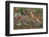 Red Poppies and Wildflowers-Paul Souders-Framed Photographic Print