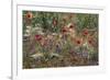 Red Poppies and Wildflowers-Paul Souders-Framed Photographic Print