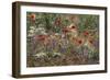 Red Poppies and Wildflowers-Paul Souders-Framed Photographic Print