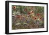 Red Poppies and Wildflowers-Paul Souders-Framed Photographic Print