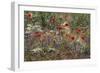 Red Poppies and Wildflowers-Paul Souders-Framed Photographic Print