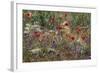 Red Poppies and Wildflowers-Paul Souders-Framed Photographic Print