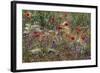 Red Poppies and Wildflowers-Paul Souders-Framed Photographic Print