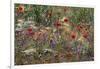 Red Poppies and Wildflowers-Paul Souders-Framed Photographic Print